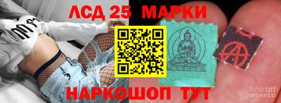 мдма Камышлов